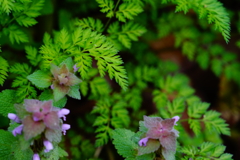 FA1EC60F-5F2E-4A2E-8203-FEC482888EB0