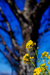 931C67A7-4939-4206-97B2-74679F6782E3