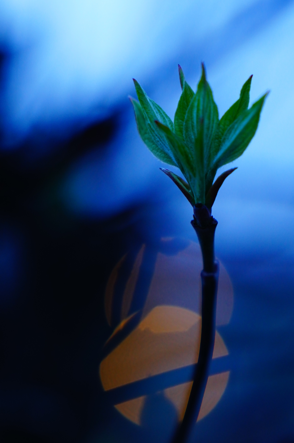 28A3D51E-F576-4127-AC97-AE5FB5B413C4