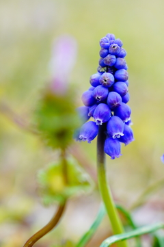 11A5F0CB-D45D-4ACF-A356-E8F94212C088