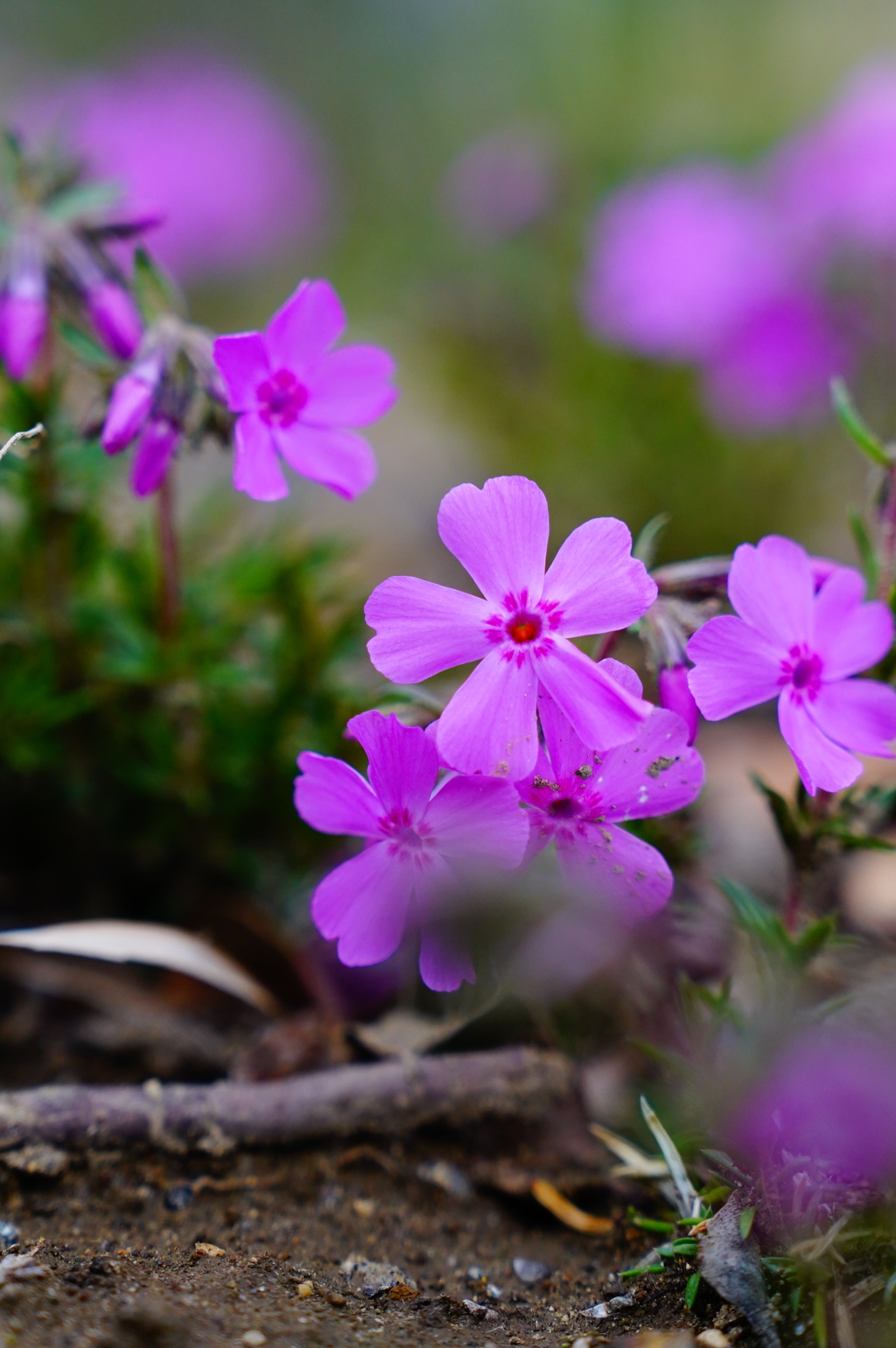 6BDDE57F-5492-4330-87E4-483F5180AD9C