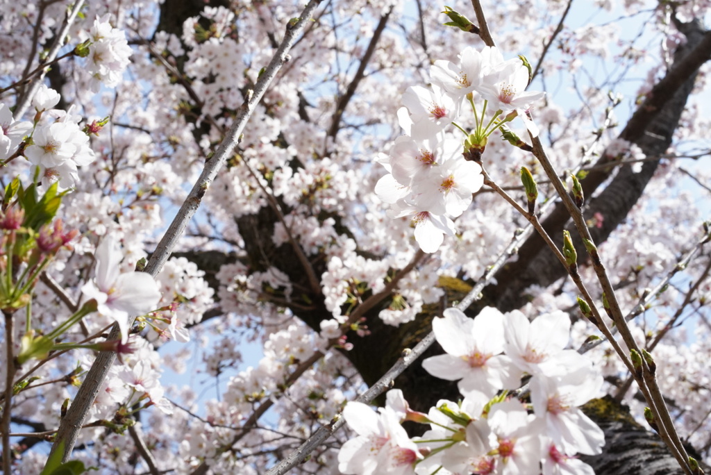 4835696A-4DC4-4114-B9E9-E85A3F952FEC