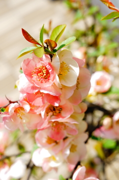 246A2904-4AE5-4AAC-9937-F954A060C4F9