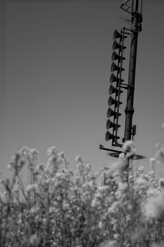 F539DC66-9C04-4DE7-8CD0-F36282129947