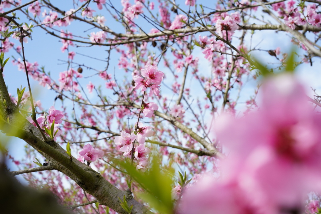 79AD092A-7FEA-4A17-ADCE-437E8ECD5F01