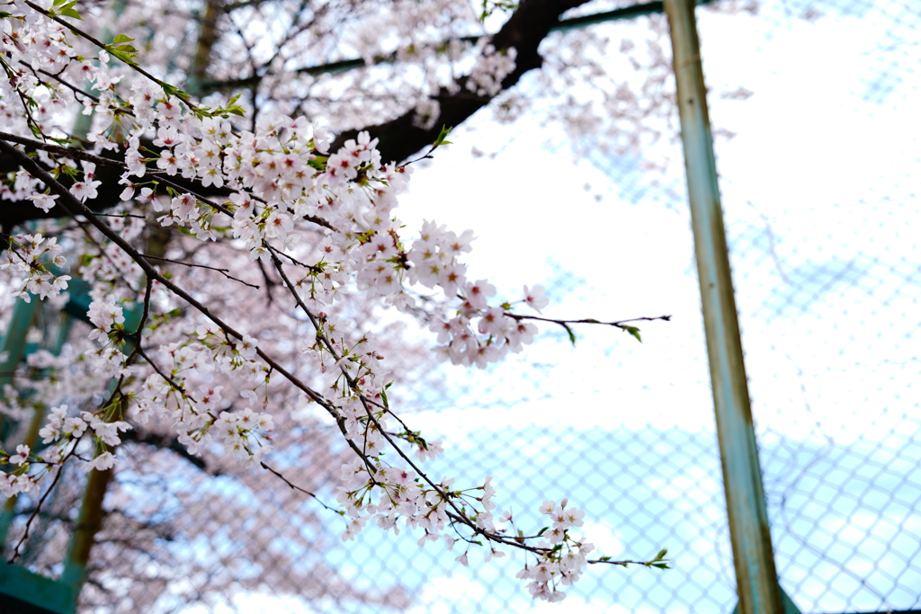 02137817-3B7B-4771-B485-83393E8DE57D