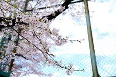 02137817-3B7B-4771-B485-83393E8DE57D