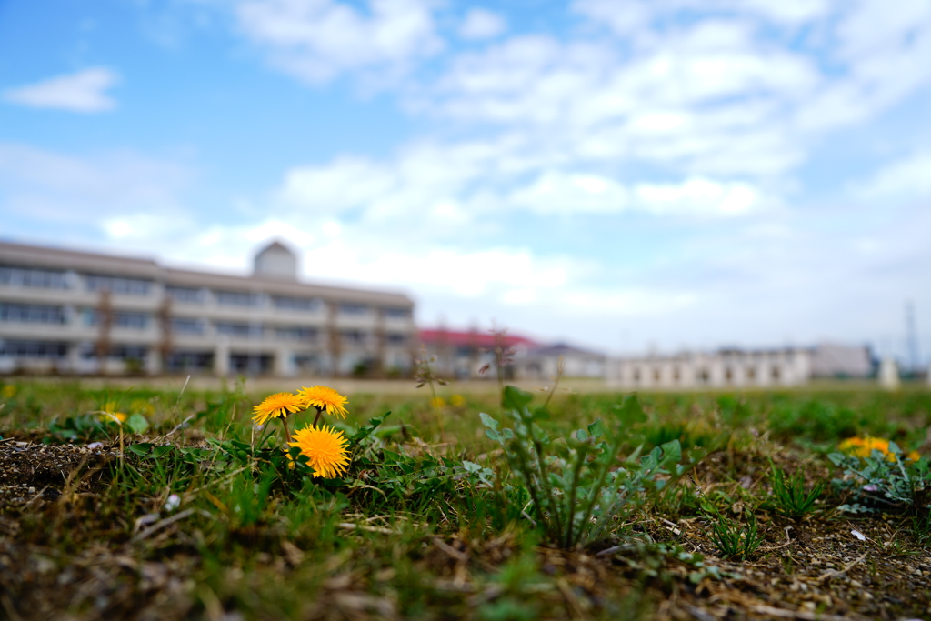 6D5DE288-F73B-4CE7-9DBE-707F9314DA31