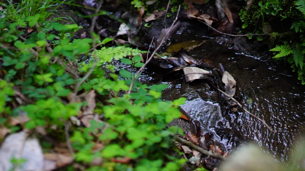 40F6F472-E6F0-4212-AE12-A3FEB6793F04