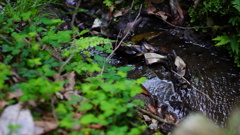 40F6F472-E6F0-4212-AE12-A3FEB6793F04