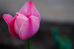 B25CC7ED-3E5A-4ABE-A662-D90BDEFB5C0A