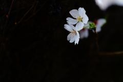 CF8A4968-8C03-4A6C-A015-7DBB2F386706