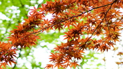 C2C63067-A023-4FD3-8CFB-840C2046E6D2