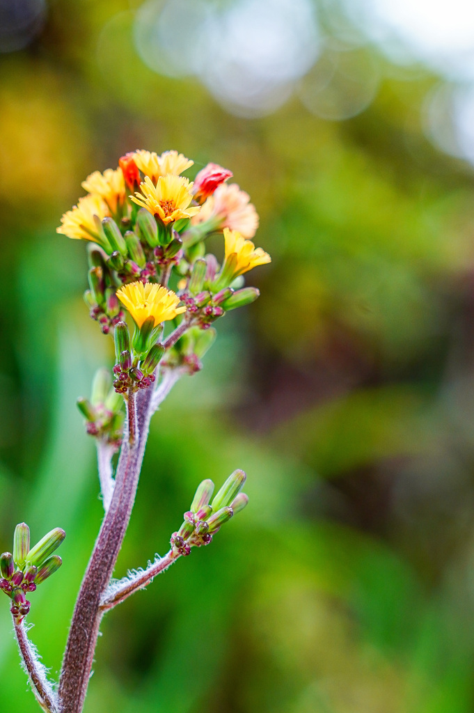 5AB83D00-A341-4FBF-B18E-E70D96A65ACC