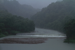 降り注ぐ雨