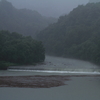 降り注ぐ雨