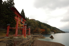 朱が雨に濡れる