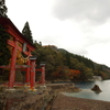 朱が雨に濡れる