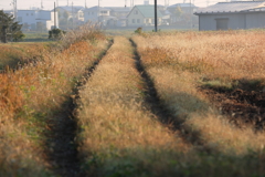 迫りくる住宅街