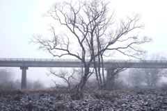 風雪流川