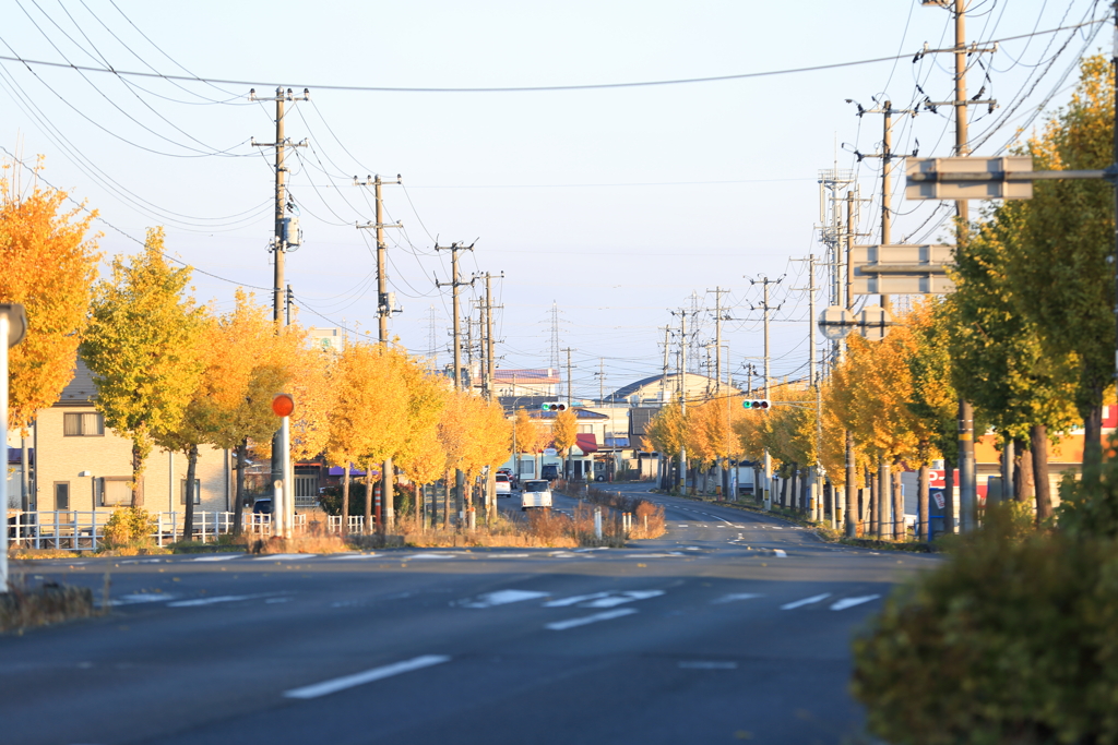 朝日を受けて