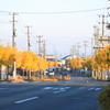 朝日を受けて