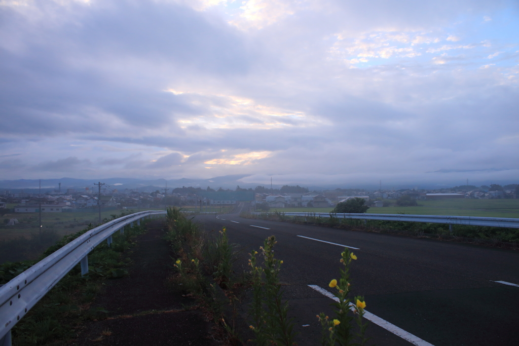 早朝の散歩
