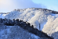 麗華