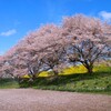春風の締めくくりー２