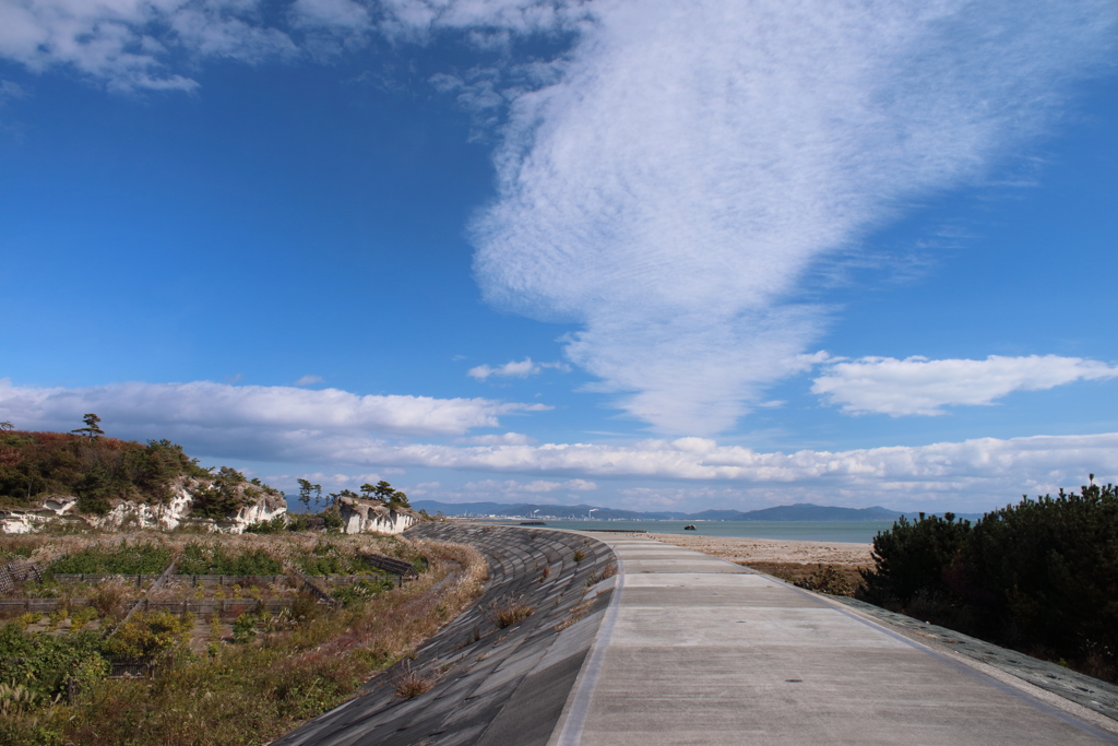 野蒜海岸