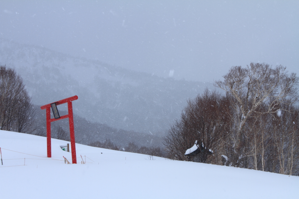 風雪神の朱は不動