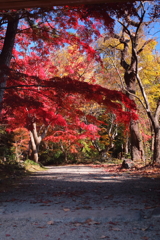 武家屋敷庭園