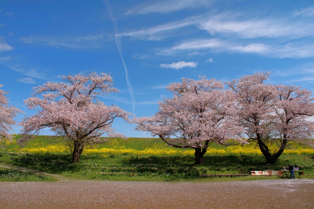 春風の締めくくり