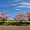 春風の締めくくり