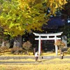 無理をしないで