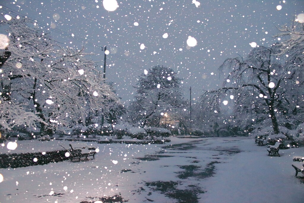 クリスマスの夜ならいいのに