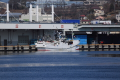 市場２２番着岸