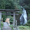 小坂七滝
