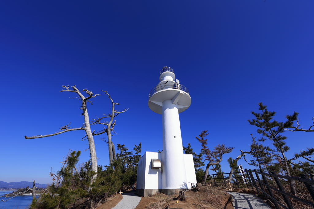 大島先端ホワイトカラー