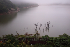 豪雨