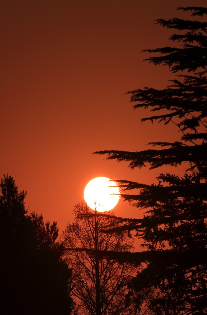The sunrise rises in my town.ー２