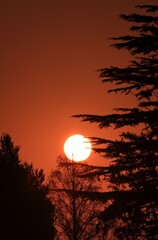 The sunrise rises in my town.ー２