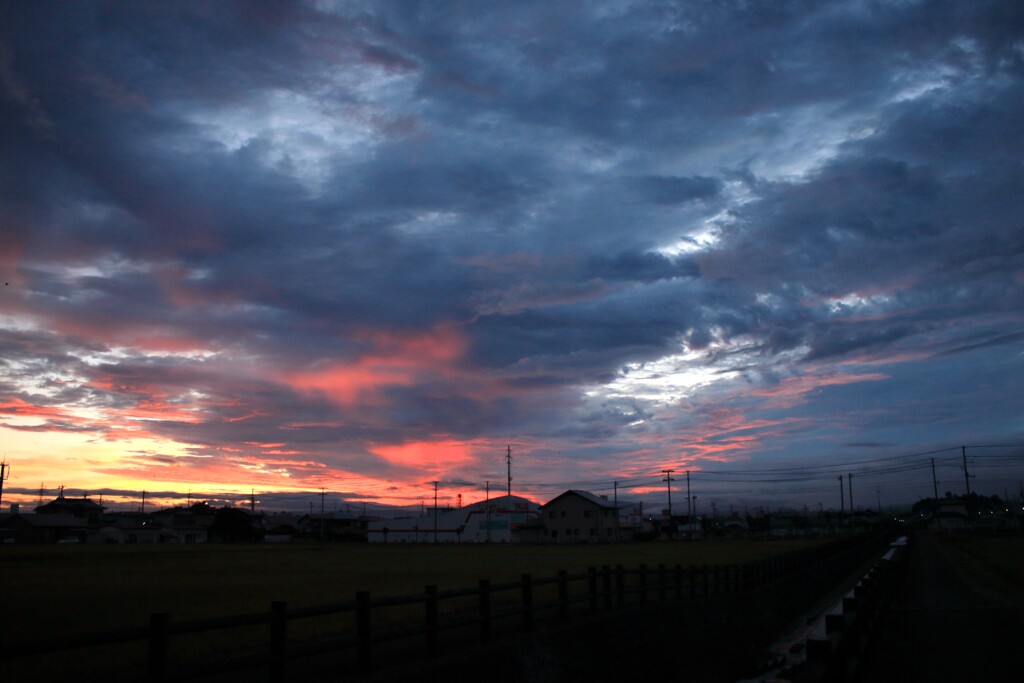 雨を待つ朝