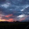 雨を待つ朝