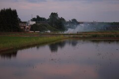 日常風景