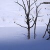 凍てつく湖水に