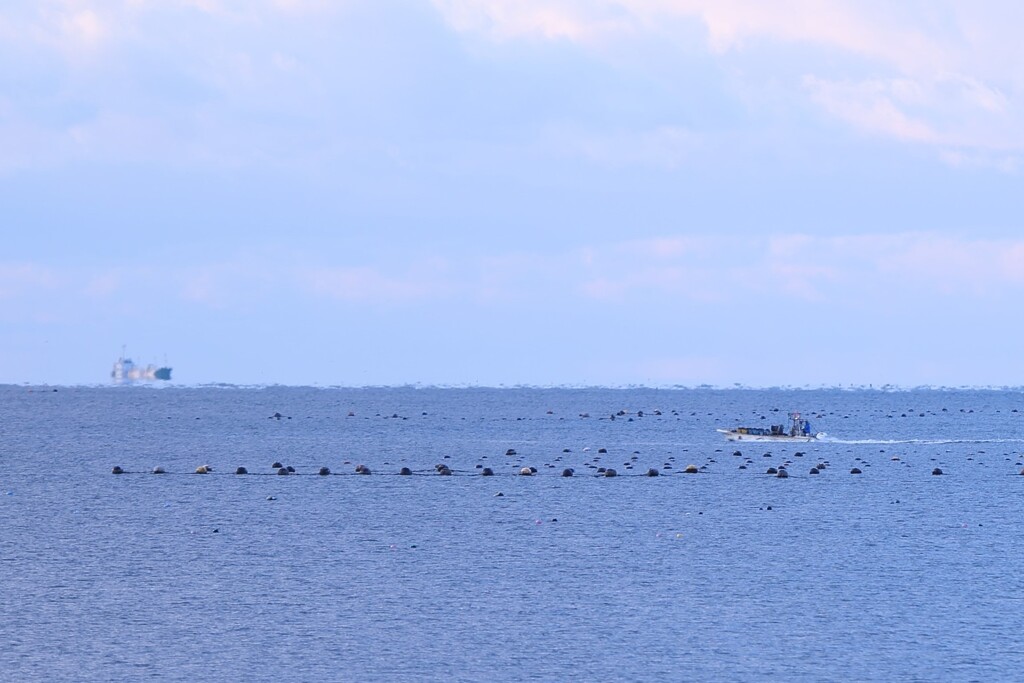 海航路