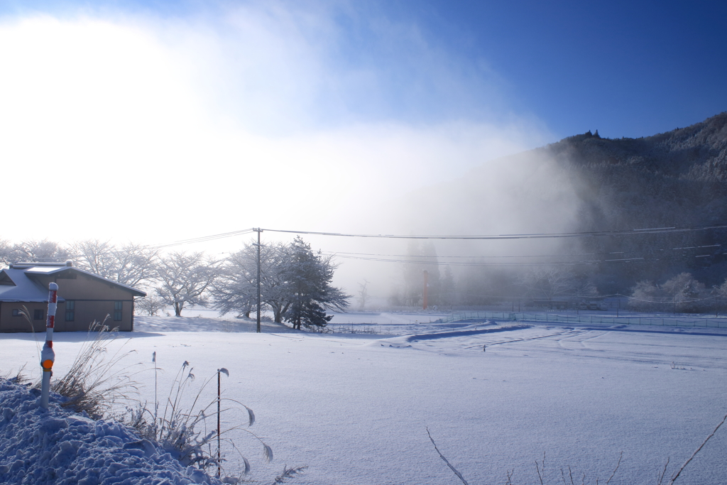 大鳥居を通る神