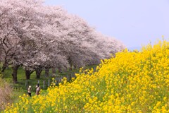 そよぐ香りを受けて