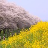 そよぐ香りを受けて